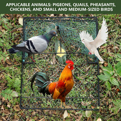 WillMesh trap in use with a pigeon inside demonstrating gentle capture