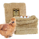 Windy Ridge Co. front pack of 10 nesting pads showing compact packaging and benefit of convenience