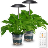 Witsanlex front view of compact grow light showing sleek design and room-friendly look