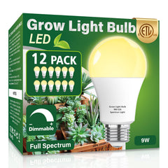 Wiyifada front packaging showing 12 bulbs and full-spectrum benefit