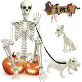 WODMAZ human skeleton front view showing realistic detail and strong outdoor presence