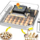 WONEGG front view showing clear lid and overall hatchery design for easy monitoring