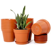 WOUSIWER front view of 16-pack showing uniform pots and saucers, tidy storage benefit