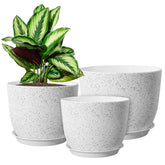 WOUSIWER front view of three-speckled pots showing sleek modern styling and tidy plant display