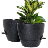 WOUSIWER front view speckled black pot displaying modern look and easy plant care