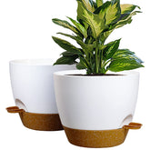WOUSIWER front view white and terracotta pot showing modern look and easy care