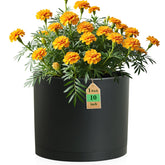 WSMKSZ front view of 10-inch matte black pot showing sleek shape and style
