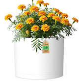 WSMKSZ front view matte white planter showing clean modern look and stability