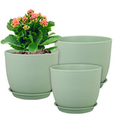 WSMKSZ front view of three green pots showing coordinated design and organization benefit