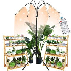 WTINTELL front view with tripod showing stable base and adjustable height for versatile use