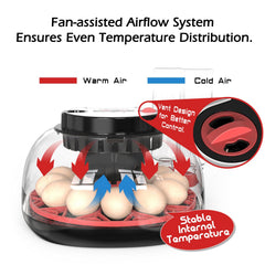 WYD2ANG clear dome closeup offering 360-degree visibility for easy observation