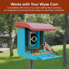 Wyze Lifestyle macro lens close-up demonstrating sharpened close-up bird detail