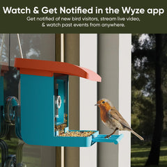 Wyze Lifestyle feeder with compatible Wyze camera installed for clear viewing benefit