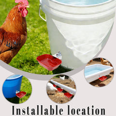 XCL XINCAI ROAD water cup installed on a 5-gallon bucket showing stable gravity feed