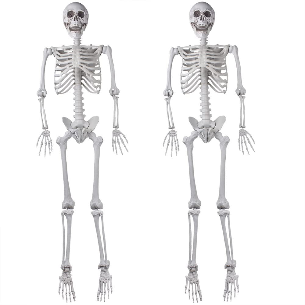 XONOR front view of two packaged skeletons ready for quick decoration