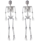 XONOR front view of two packaged skeletons ready for quick decoration
