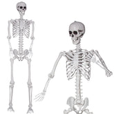 XONOR giant skeleton front view showcasing realistic bones and height benefit
