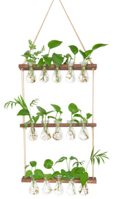 XXXFLOWER front view of five-bulb wall hanging showing organized display benefit