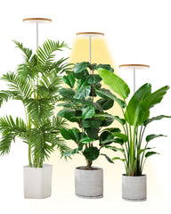 yadoker front view showing full grow light and pole, highlights space-saving design