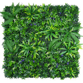 Yangrass front panel packaging showing full panel and brand benefit realism