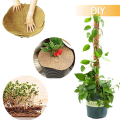 Yarrdfir hanging basket lined with coir liner demonstrating neat plant support benefit