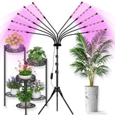 yehsence front view with tripod showing stable support and broad coverage