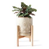 YFFSRJDJ front view ceramic planter with stand showing elegant display benefit