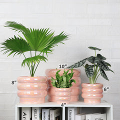 YFFSRJDJ planter on windowsill with plant illustrating stylish indoor display