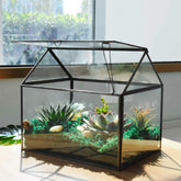 YIMORENCE V front view of black glass terrarium showing clear display and protection
