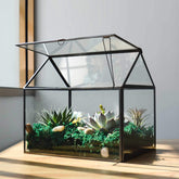 YIMORENCE V front view of black house terrarium with clear panes, shows modern display benefit
