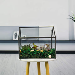 YIMORENCE V interior planting with succulents, demonstrating layered soil and decorative styling