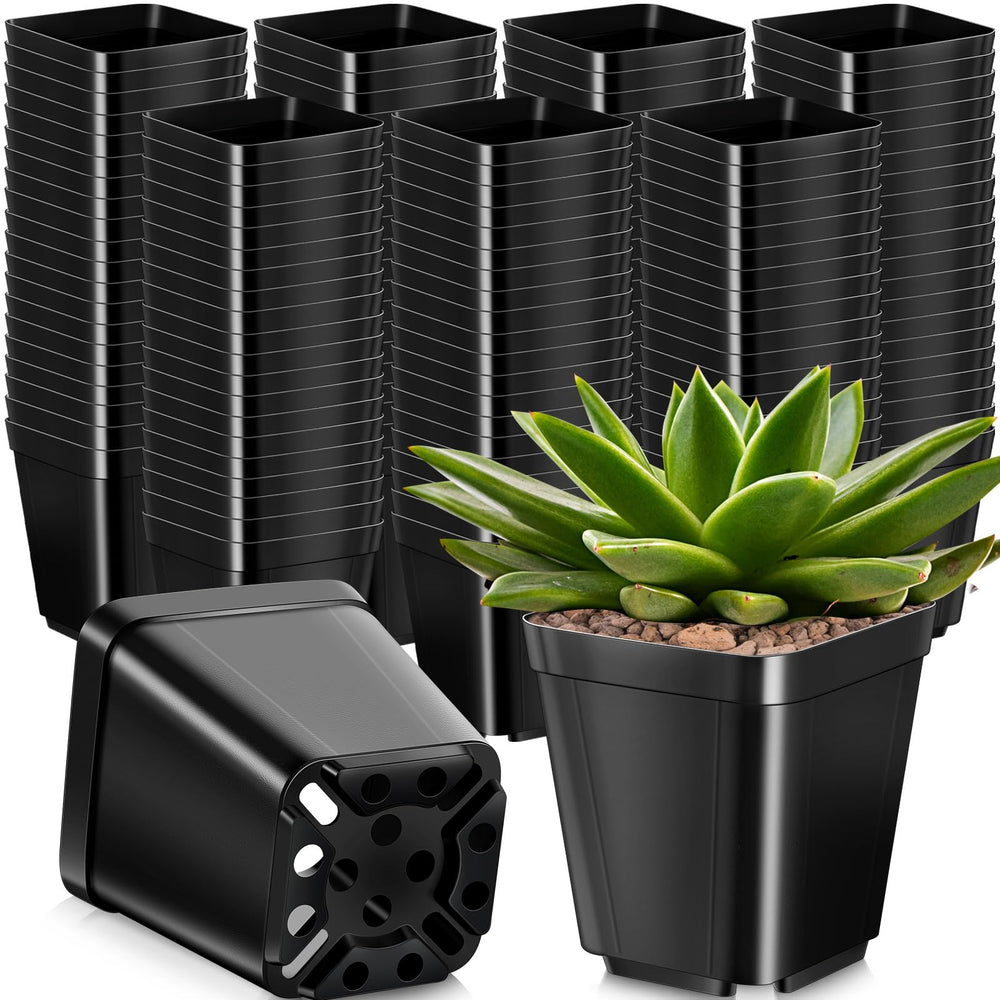 Yinder front view of 500-pack showing compact starter pots and bulk supply benefit
