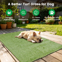 Yinoos pet using mat indoors demonstrating easy potty training benefit