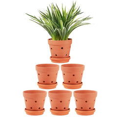 Yishang front view of six terracotta pots showing uniform set and ready-to-use convenience