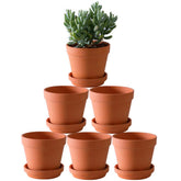 Yishang front view of six terracotta pots showing classic clay look and coordinated set