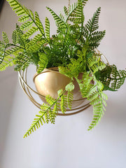 YISSEN RISEON planted with succulents top view showing decorative display benefit