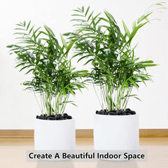 YISZM decorative pebbles in aquarium after cleaning offering natural, non-toxic décor
