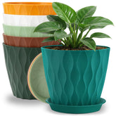 YNNICO front view multicolor pack showing six pots and trays, colorful and organized