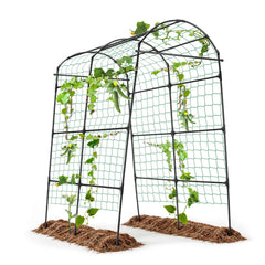 yotoworth arch front view showing full height and garden entrance benefit