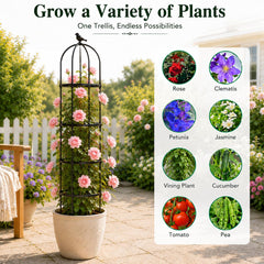 yotoworth scale next to shovel showing 6.3 ft height for proportional planting