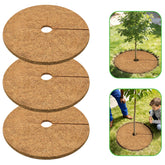 ZeeDix front view of three coconut fiber mulch rings showing pack and finish, tidy look