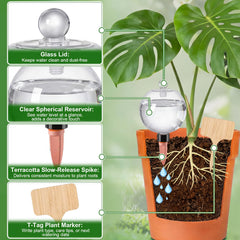 Zhehao top-fill glass lid detail demonstrating easy refill and visible water level