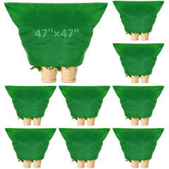 Zhengmy front packaging showing nine green plant covers and quantity benefit