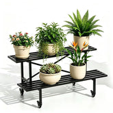 Zhongma front view assembled showing sturdy two-tier display and heavy-duty support