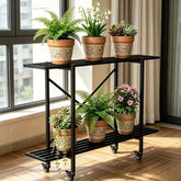 Zhongma front view full stand showing slim footprint and sturdy two-tier display