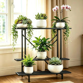 Zhongma front view showing three-tier space-saving plant display and stability