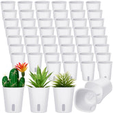 Ziliny front view of 3 inch planter showing clean glossy finish and compact size benefits