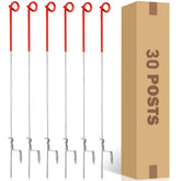 Zoiut front packaging showing 30-pack and benefit of bulk supply