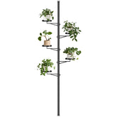 Zononoca front view assembled plant stand shows compact vertical display benefit