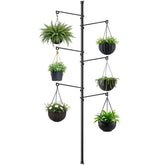 Zononoca front view of full tension pole showing sleek finish and six hooks, maximizes vertical space